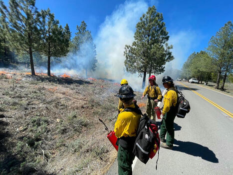 New executive order aimed at wildfire puts communities and forests at risk - yubanet.com | Operation Deimos | Scoop.it