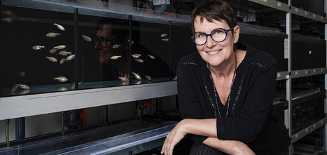 Sylvie Rétaux, une biologiste tout-terrain | Life Sciences Université Paris-Saclay | Scoop.it