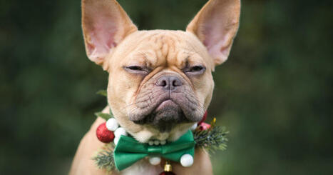 Les pires fails marketing de No&euml;l&nbsp;: 7 campagnes qui ont vir&eacute; au bad buzz | Strat&eacute;gie marketing | Scoop.it