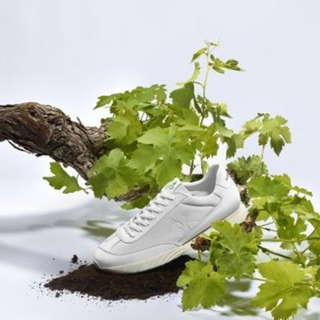 Le Coq Sportif propose une basket à partir de raisin | Les Gentils PariZiens | style & art de vivre | Scoop.it