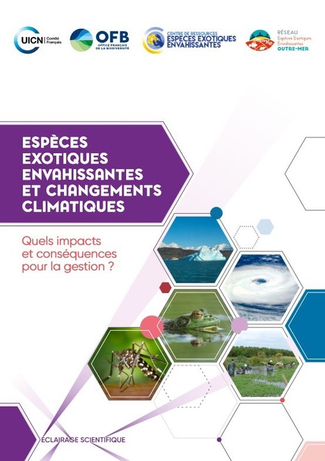 Centre de ressources EEE : Espèces exotiques envahissantes et changements climatiques (2022) | Insect Archive | Scoop.it