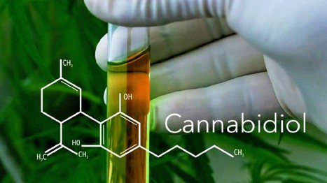 Cannabidiol ou CBD : pourquoi ce nouveau produit fait d&eacute;bat | Sant&eacute;, m&eacute;decine, sexualit&eacute; et culture g&eacute;n&eacute;rale | Scoop.it