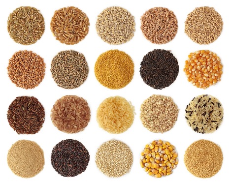 Ancient Nomads Spread Earliest Domestic Grains Along The Silk Road 5,000 Years Ago | Amazing Science | Scoop.it