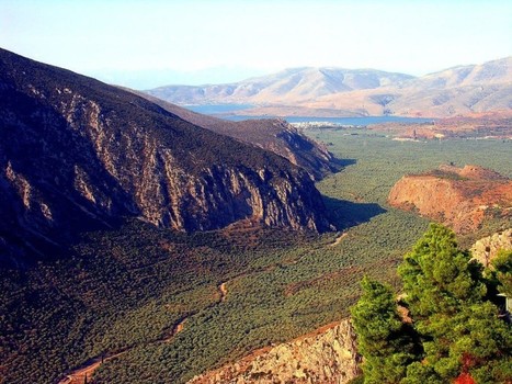 GREECE : Greek Prime Minister Pledges to Restore Amfissa Olive Grove | CIHEAM Press Review | Scoop.it