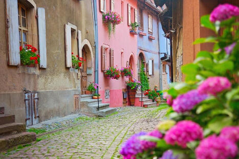 Webinaire : Lisela d&eacute;voile ses nouvelles id&eacute;es pour vendre l'Alsace autrement | Marketing et promotion touristique | Scoop.it