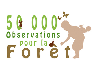 La Lettre d'infos n°11 : Encore un mois pour observer la forêt | Agir pour la biodiversité ! | Scoop.it