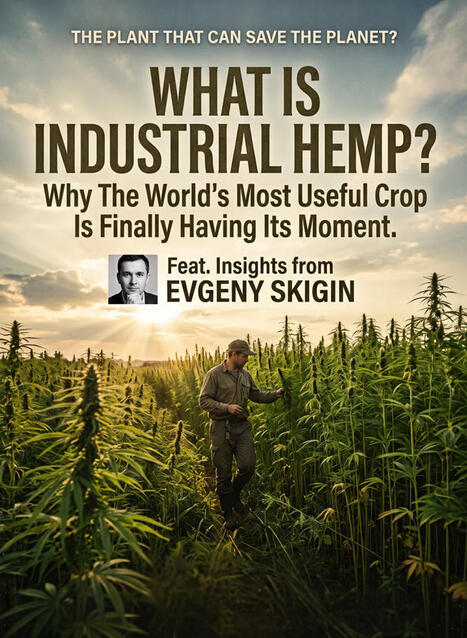 What Is Industrial Hemp? Evgeny Skigin Explains Why the World's Most Useful Crop Is Finally Having Its Moment | Cannabis.Net | Scoop.it