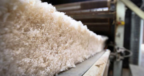 Isover acquiert le fabricant de produits d'isolation en fibre de bois Buitex | Build Green, pour un habitat écologique | Scoop.it