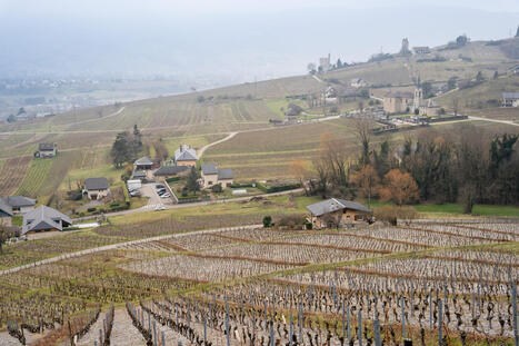 Municipales : l&rsquo;&eacute;cologie &agrave; l&rsquo;&eacute;preuve des territoires | Territoires, transitions, d&eacute;veloppement local | Scoop.it