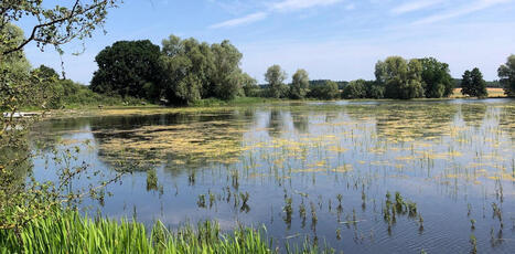 Les fantômes des PESTICIDES hantent nos environnements pour longtemps | CIHEAM Press Review | Scoop.it