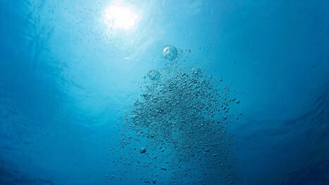 The oxygen you breathe depends on a tiny ocean ingredient | Soggy Science | Scoop.it