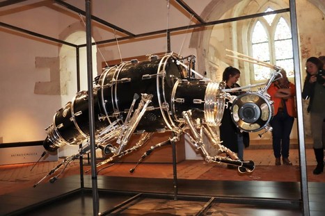 Pays de Guingamp. Que peut-on faire durant ce premier week-end de juillet ? | Variétés entomologiques | Scoop.it