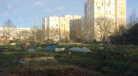 La Roche. Vigne-aux-Roses : l'avenir des jardins dans le flou | L'actualité des quartiers politique de la ville de Bretagne et Pays de la Loire | Scoop.it