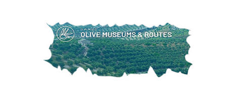 MEDITERRANEAN : Olive Museums & Routes | CIHEAM Press Review | Scoop.it