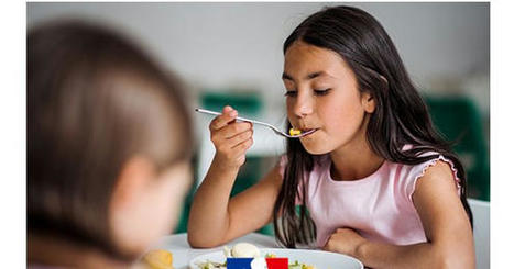 Cantine &agrave; 1 euro : Plus de 10 millions de repas &agrave; un euro ou moins, servis dans les &eacute;coles | Veille juridique du CDG13 | Scoop.it