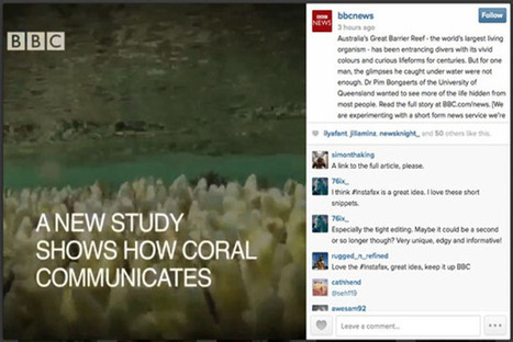 BBC Tests Instagram As A Breaking News Service - PSFK | Latest Social Media News | Scoop.it