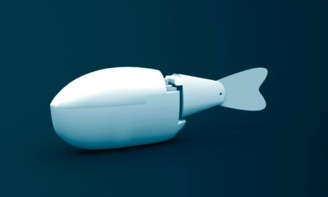 Un pez robot logra convertirse en líder de un grupo de peces auténticos. | Artículos CIENCIA-TECNOLOGIA | Scoop.it