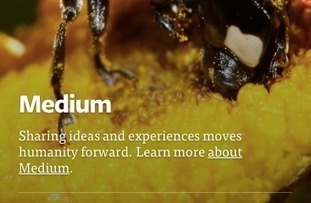 Medium needs to figure out what it wants to be when it grows up | Public Relations & Social Marketing Insight | Scoop.it