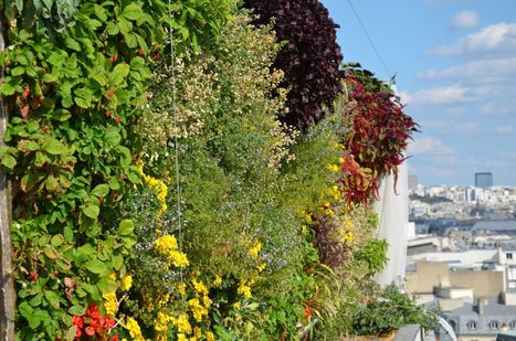 Les fermes urbaines se multiplient à grande vitesse | ESPACES VEGETALISES URBAINS | Scoop.it