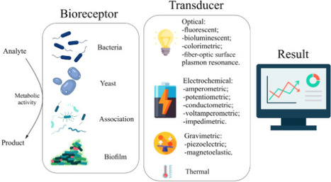 Whole Cells of Microorganisms—A Powerful Bioanalytical Tool for Measuring Integral Parameters of Pollution: A Review | mdpi | RMH | Scoop.it