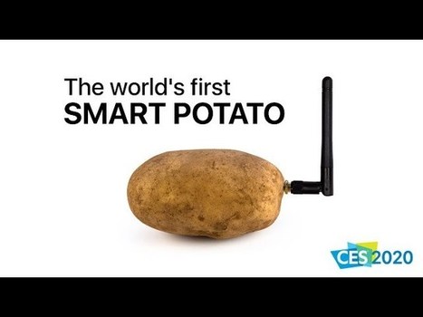 Patate Connectée et Autres Inventions Loufoques ! | FLEursdeFLE | Scoop.it