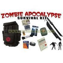 Airsoft Arms, Zombie Apocalypse Survival Kit v2.0 | Thumpy's 3D House of Airsoft™ @ Scoop.it | Scoop.it