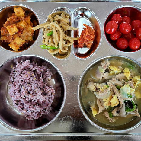 Korean School Lunches | The Asian Food Gazette. | Scoop.it
