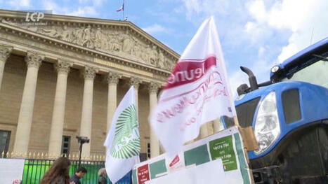 Loi 'Duplomb' sur le métier d'agriculteur : aucun accord trouvé, la motion de rejet va être examinée par l'Assemblée | LCP - Assemblée nationale | Variétés entomologiques | Scoop.it