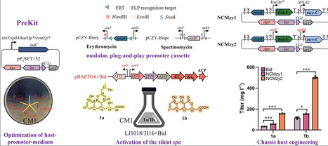 The PreKit platform: Cryptic gene clusters activation and high-titer compound production | ssb | RMH | Scoop.it