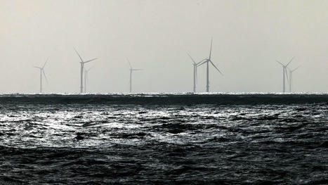 L’île de Ré ne veut pas « avoir la plus grande implantation d’éoliennes industrielles en Europe » au large de ses côtes | Regards croisés sur la transition écologique | Scoop.it