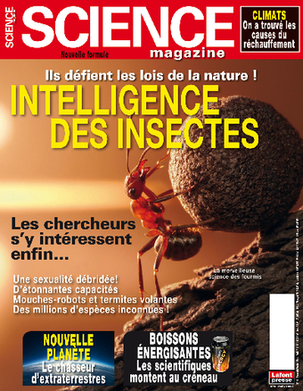 L'intelligence des insectes. Les chercheurs s'y int&eacute;ressent enfin... | Vari&eacute;t&eacute;s entomologiques | Scoop.it