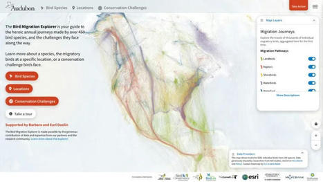 INGENIERIA FORESTAL: Website "Bird Migration explorer" | Bichos en Clase | Scoop.it