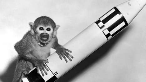 Maybe the Most Fun Page on the Internet Is Wikipedia’s “Unusual” Page | Dr. Goulu | Scoop.it