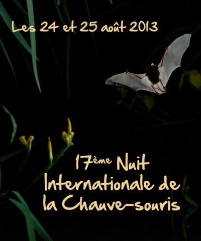 Nuit Internationale de la chauve-souris 2013 | Variétés entomologiques | Scoop.it