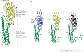 Advances in the development of influenza virus vaccines : Nature Reviews Drug Discovery : Nature Publishing Group | Immunology and Biotherapies | Scoop.it