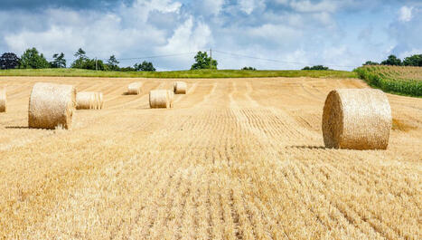 A qui profitent les terres agricoles en France ? | Veille territoriale AURH | Scoop.it