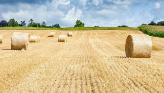 A qui profitent les terres agricoles en France ? | Veille territoriale AURH | Scoop.it