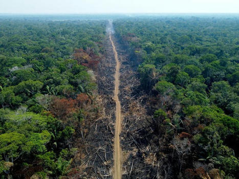 BRAZIL : Deforestation is accelerating in Brazil as Bolsonaro's first term ends | AM&Eacute;RIQUES | Scoop.it