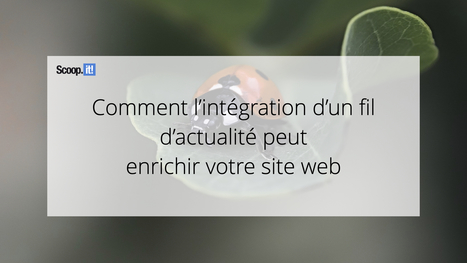Comment l'int&eacute;gration d'un fil d'actualit&eacute;s peut enrichir votre site web - Blog Scoop.it France | Mon site web : Scoop.it | Scoop.it