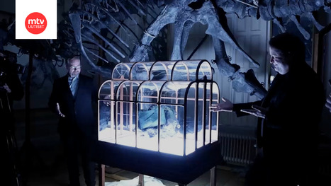 Tutkijat: T&auml;m&auml; laukku on tehty Tyrannosaurus rex -nahasta | 1Uutiset - Lukemisen t&auml;hden | Scoop.it