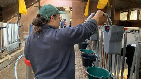 L'&eacute;volution des femmes en agriculture | Elevage et soci&eacute;t&eacute; | Scoop.it