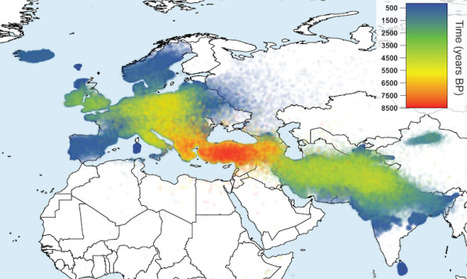 The tree of knowledge | Archaeology News | Scoop.it