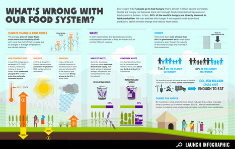 Issues about our food system. | Stage 5 Sustainable Biomes | Scoop.it