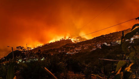Portugal in State of Alert due to Heatwave and Wildfires - European-Views.com | Agents of Behemoth | Scoop.it