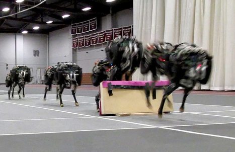 Watch This Terrifying Cheetah Robot Jump Over Hurdles | Robotics | 21st Century Innovative Technologies and Developments as also discoveries, curiosity ( insolite)... | Scoop.it