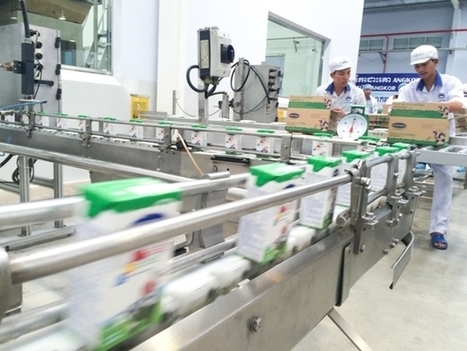 Une fabrique de produits laitiers ouvre au Cambodge | Lait de Normandie... et d'ailleurs | Scoop.it