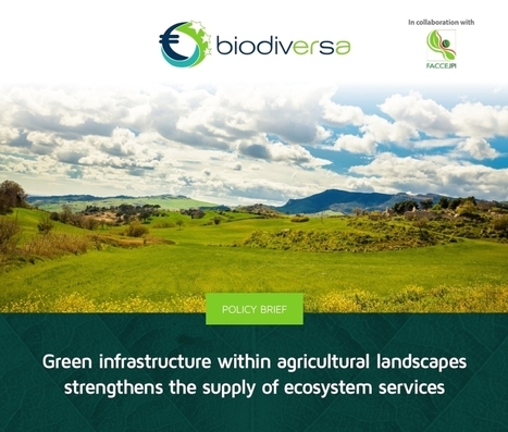 Paysages agricoles, l’intérêt des infrastructures vertes mis en évidence | Biodiversité | Scoop.it