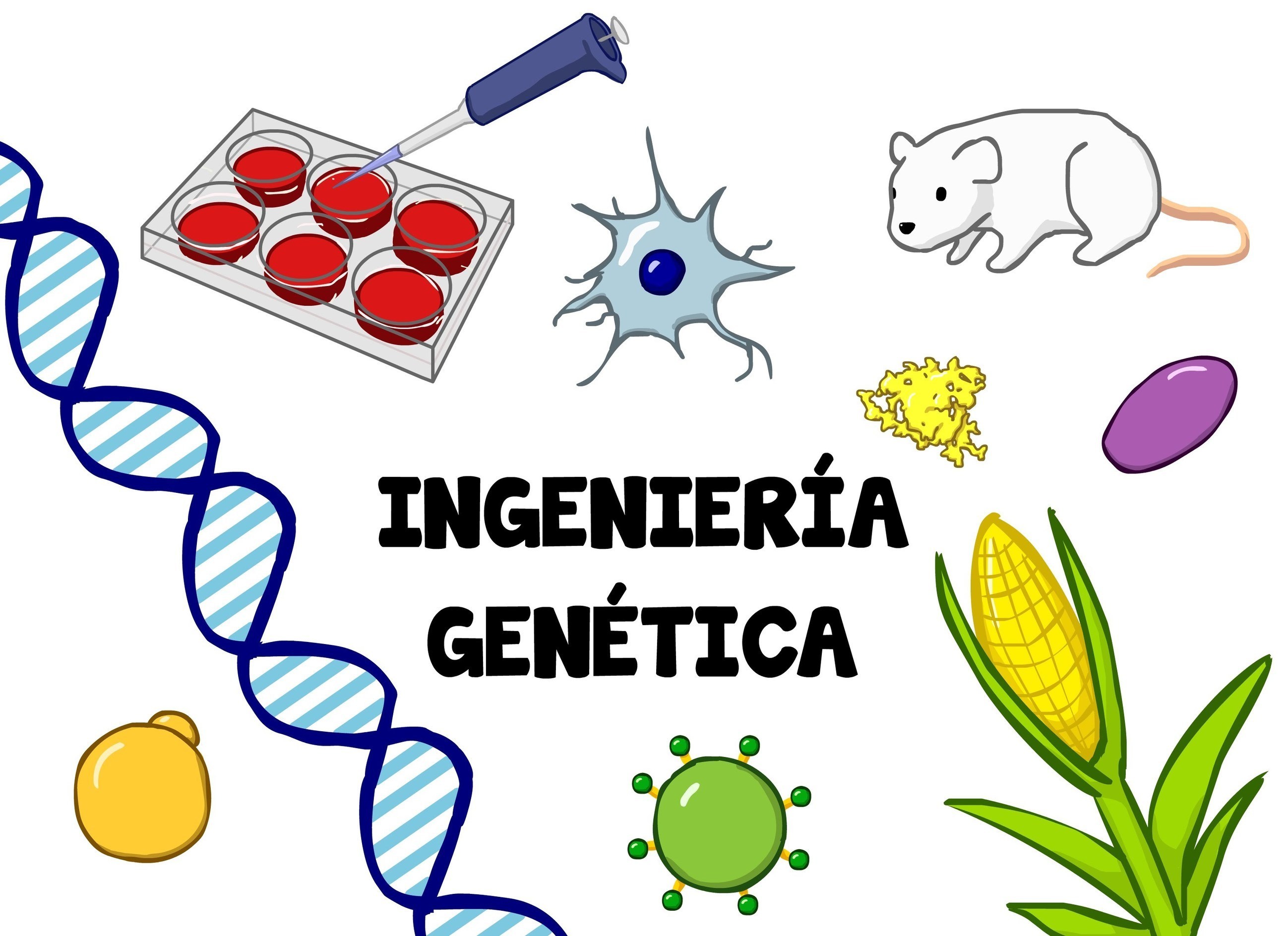 Ingenieria Genetica Cuent