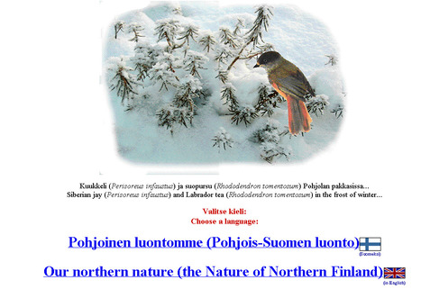 Pohjoinen luontomme/Northern nature | 1Uutiset - Lukemisen tähden | Scoop.it