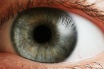 Stanford University Develops a Solar-Powered Bionic Eye ... | Science News | Scoop.it